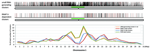 Figure 2. Genome-wide distributions of RNAP V-dependent small RNA-generating loci. Upper panel, the distribution of small RNA-generating loci and small RNA abundance in wild-type along chromosome 1 with bar height indicating the sum of HNA in Col libraries; red bars indicate HNA greater than 500; full-height bars are HNA between 100 to 500, and shorter bars are HNA < 100. The chromosome is illustrated below in gray, with approximate pericentromeric regions based on centromeric staining data marked with green bars.Citation51,Citation62 Middle panel, differentially-expressed RNAP V- dependent small RNA-generating clusters; full-height bars in black are clusters with reduction relative to Col of between 10- to 50-fold; red bars indicate clusters with fold reduction > 50. Lower panel, the density of RNAP V-dependent clusters across chromosome 1, plotted as the percentage of number of clusters in 1 Mb windows over the total number of RNAP V-dependent clusters mapped to chromosome 1. The distribution of small RNA-generating clusters and NRPD1(RNAP IV)- and RDR2-dependent clusters were plotted for comparison. Data for chromosomes 2 to 5 are shown in Figure S2.