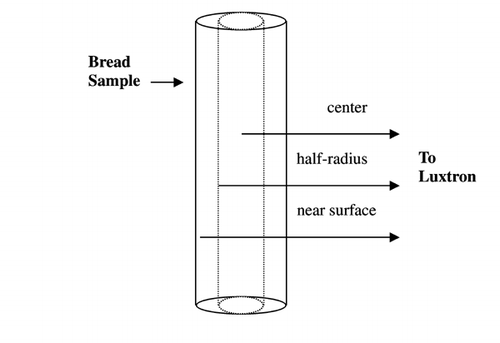 Figure 3. Luxtron probe positions within sample.