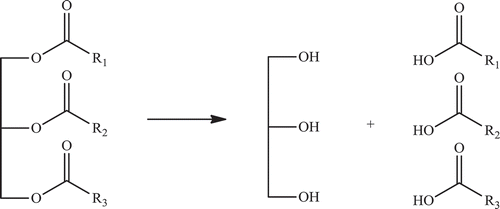 Figure 31. Structure of triglycerides.