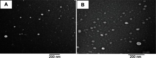 Figure 3 Transmission electron micrographs of flutamide-loaded casein nanoparticles (F2) at a magnification of 20,000× (A) and 30,000× (B).