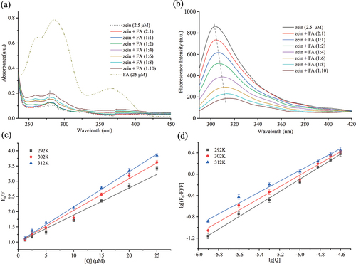 Figure 1. (a) UV‒vis spectra of 2.5 µM zein in the presence of FA at different concentrations (0–25 µM). (b) Fluorescence emission spectrum of 2.5 µM zein in the presence of FA at 312 K. Stern–Volmer plots (c) and Lineweaver–Burk plots (d) of zein quenched by increasing concentrations of FA at 292 , 302 , and 312 K.