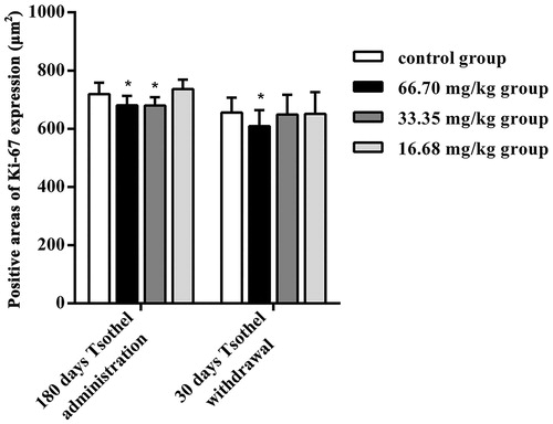 Figure 7. The positive areas of Ki-67 expression in rats exposed to different doses of tsothel (66.70, 33.35 and 16.68 mg/kg) after 180 days of administration and 30 days of drug withdrawal (N = 160).