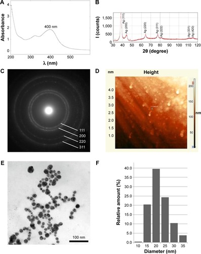 Figure 1 Physicochemical properties of SNPs.Notes: (A) UV/vis absorption spectrum; (B) X-ray diffractogram; (C) electron diffraction of the SNPs in the selected area; (D) images of the SNPs obtained by atomic force microscopy; (E) images of the SNPs obtained by transmission electron microscopy; (F) distribution of the SNPs according to their linear size.Abbreviations: SNPs, silver nanoparticles; UV/vis, ultraviolet/visible.