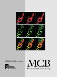 Cover image for Molecular and Cellular Biology, Volume 25, Issue 23, 2005