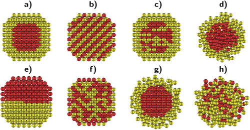 Figure 5. Patterns exhibited by bimetallic nanoalloys at various temperatures. (a) Solid core/shell; (b) ordered alloy; (c) alloyed core/pure shell; (d) liquid core/shell; (e) Janus-like; (f) random alloy; (g) solid core/liquid shell; (h) alloyed liquid. (Reproduced with permission from Ref [Citation49]).