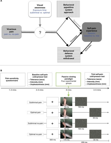 Figure 1 (A) Relationship among variables of interest. Vicarious pain may activate behavioral defense and behavioral appetitive system, resulting in decreased and increased self-pain experience, respectively. The current study investigates modulatory effects of visual awareness on the relationship between vicarious pain and self-pain experience. Corresponding factors and their factor levels as implemented in the study design are indicated in blue letters. (B) Visualization of Experimental Procedure. After completion of the Pain Sensitivity Questionnaire all participants completed the cold-pressor test (baseline self-pain). Depending on the assigned experimental group (subliminal pain, optimal pain, subliminal no-pain, optimal no-pain) participants were presented one of four passive viewing sequences, in which 130 images were shown randomly and repeated for five times. To illustrate the trial structure and stimuli included in the passive viewing task, example trials for each experimental group are depicted at the bottom of the figure. Following the passive viewing task, participants again underwent the cold-pressor test (trial self-pain). Pain tolerance, intensity and unpleasantness were obtained as measures for self-pain experience at baseline and trial.