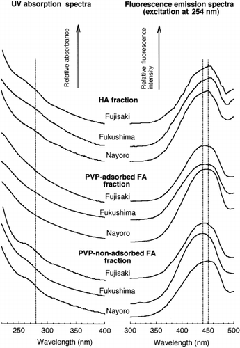 Figure 4  Ultraviolet (UV) absorption spectra and fluorescence emission spectra obtained for the broad peaks of the humic acid (HA), polyvinylpyrrolidone (PVP)-adsorbed fulvic acid (FA) and PVP-non-adsorbed FA fractions.