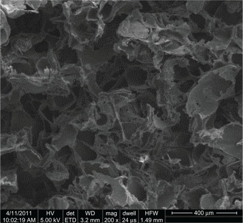 Figure 2 Porous structures of the PU-PLGA graft. Pore size was determined by sieved salt particle sizes, which had a size range of 150–250 μm.Abbreviations: PU, polyurethane; PLGA, poly-lactic-co-glycolic acid.