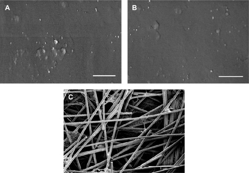 Figure 1 SEM images of the surfaces of the (A) Corning; (B) Falcon; and (C) XanoMatrix samples.Note: Scale bar =1 µm.Abbreviation: SEM, scanning electron microscopy.