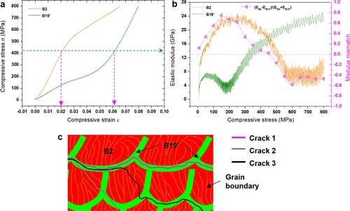 Figure 14. (a) Compressive stress–strain curves of the sample with the initial phase of B2 and the sample with B19’ phase; (b) The corresponding calculated elastic modulus and modulus mismatch as a function of compressive stress; (c) The schematic of crack propagation.