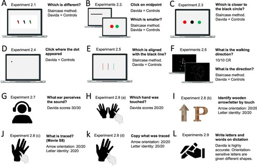 Figure 3. Stimuli, tasks and Davida’s performance for the second series of experiments (see Appendix 2.1–2.9 for detail). Movies S8, online, illustrate Davida performing the experiment 2.8 (c).