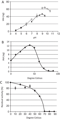 Figure 2. Some properties of BmIAO1. (A) pH dependence (acetate buffer, filled squares; phosphate buffer, open squares; Tris-HCl buffer, filled triangles; glycine buffer, open circles); (B) temperature dependence; and (C) heat stability.