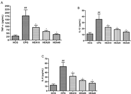 Figure 5. Effects of HEA on renal (A) TNF-α, (B) IL-1β, (C) IL-6 levels. ##P < .05 versus normal control group, *P < .05 versus cisplatin treated group.