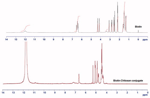 Figure 3. +H NMR spectra of (a) biotin (BI) and (b) biotin-chitosan (BI-CHI) conjugate.