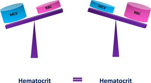 Figure 1. Dynamic equilibrium. According to the formula Hct = MCV × RBC, both MCV and RBCs contribute to Hct level. If the values of MCV and RBC change equally and proportionally, Hct level remains stable.