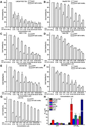 Figure 2 In vitro cytotoxicity of CPT-WT-H NPs and CPT against PSMA-expressing (PSMA+) cancer cell LNCaP-FGC (A) and non-PSMA-expressing (PSMA−) cancer cells HepG2 (B), MCF-7 (C), HeLa (D), DU145 (E), PC-3 (F) and normal liver cells LO2 (G), the IC50 values of CPT and CPT-WT-H NPs on different cell lines (H). ***p < 0.001, vs LNCaP-FGC cells.