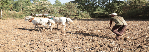 Figure 1. Plow with horse.