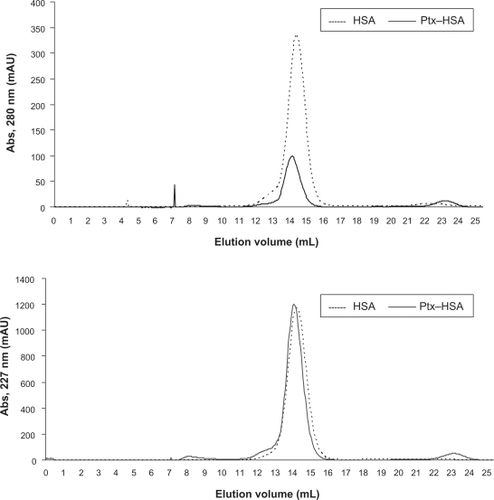 Figure 1 Size exclusion chromatography of HSA and paclitaxel–HSA. Chromatography on Superdex 200® of HSA (-----) and HSA-paclitaxel. Samples of HSA 5 mg (10 mg/mL) and HSA-paclitaxel 2 mg (10 mg/mL HSA and 1.11 mg/mL paclitaxel) were run on a Superdex 200® column (HR 10/30) at room temperature in phosphate-buffered saline as described in the Materials and methods section.Abbreviations: HSA, human serum albumin; Ptx, Paclitaxel.