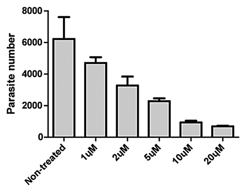Figure 2. In vitro efficacy of different concentrations of aurnofin on the growth of C. parvum, as determined by real-time PCR. Bars represent standard errors of the means derived from three replicates.