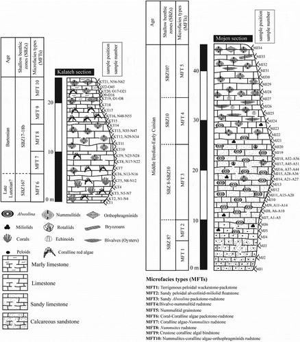 Figure 5. Stratigraphic columns of the Mojen and Kalateh sections with distribution of the major microfacies types