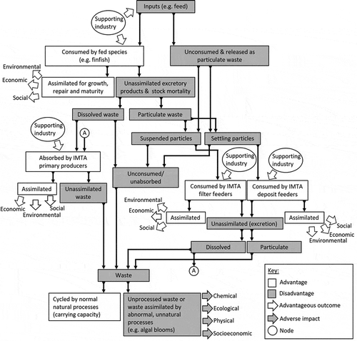 Figure 8. Integrated Multi-Trophic Aquaculture (IMTA) concept model outlining the various system components in the production process that could be incorporated into a research, development and implementation continuum for the expansion of engineered IMTA in China.