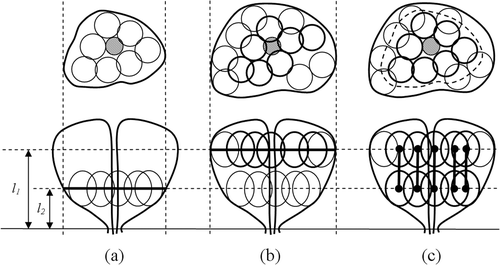 Figure 2. Schematic illustration of the process to determine the initial positions of bubbles in Stage II of pullback, where the upper illustrations display the cross-section perpendicular to the cryoprobe axis, and the lower illustrations display longitudinal cross-sections of the prostate: (a) independent Stage II bubble packing; (b) independent Stage I bubble packing; and (c) based on proximity on the plane perpendicular to the direction of cryoprobe insertion bubbles are paired, and simultaneous bubble packing is performed in both regions.