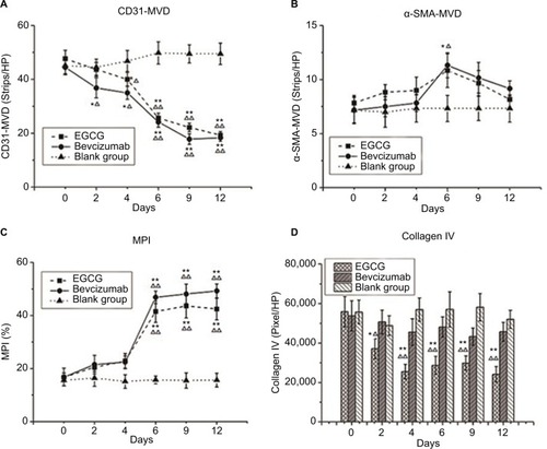 Figure 2 Vessel-structure index changes after treatment.Notes: Three treatment groups (n=40) — EGCG, bevacizumab (positive control), and saline (blank control) — were established. Mice from each group were euthanized on day 0, 2, 4, 6, 9, or 12 (n=5–6). (A) CD31 MVD (strips/HP lens). (B) αSMA-MVD (strips/HP lens). (C) Microvessel pericyte-coverage index (MPI; %). (D) Collagen IV (pixels/ HP lens). *P<0.05, **P<0.01 compared with blank control at same time point; △P<0.05, △△P<0.01 compared with day 0 in same group.Abbreviations: EGCG, epigallocatechin-3-gallate; MVD, microvessel density; HP, high power.