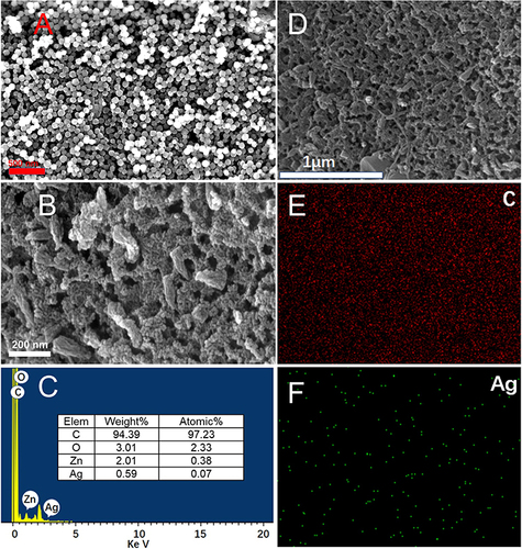 Figure 2 SEM images of (A) ZIF-8, (B) AgSA-ZDPC, EDX spectra of (C) AgSA-ZDPC, Mapping of (D–F) AgSA-ZDPC.