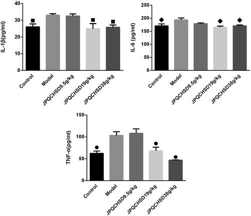 Figure 6. Serum interleukin (IL)-1β, IL-6, and tumour necrosis factor (TNF)-α levels of the five groups. ■p < 0.05, ◆p < 0.05, and ●p < 0.05 as compared to the model group. Data are shown as the mean ± standard deviation. Control, administered 0.9% saline; model, 2-4-6-trinitrobenzene sulphonic acid (TNBS)-induced inflammatory bowel disease (IBD) rats; JPQCHSD 9.5 g/kg, JPQCHSD 19 g/kg, and JPQCHSD 38 g/kg, respectively.