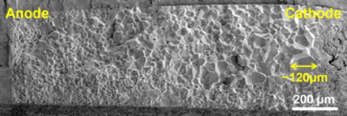 Figure 24. SEM micrograph of fracture in 8YSZ along a cross-section parallel to the electric field (50 mA mm−2, (DC) electric-loading time: 1440 min at TF of 1250°C, thickness: 1.5 mm). Adapted from Kim et al. [Citation116].