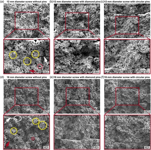 Figure 6. Tensile fracture morphologies of the samples using the 12, 16 mm diameter screws (yellow circles marking fibre aggregations; white circles marking interline pores; red circles marking fibre pull-out holes; white arrows marking interlayer gaps; red arrows marking air pores).