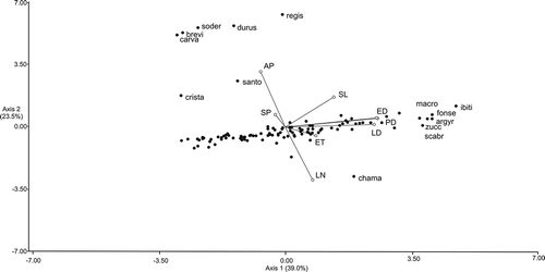 Figure 4. Diagram of principal component analysis ordination according to the Axes 1 and 2 of the studies species of Lessingianthus.