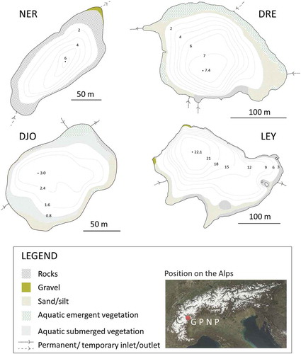 Figure 1. Bathymetries of the study lakes (from Tiberti et al. Citation2010), littoral microhabitats, and position of the Gran Paradiso National Park (GPNP) on the Alps.