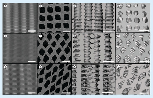 Figure 7. The μ-CT images of the 3D printed samples with the three different internal architectures. (Top row: A–D) A (0°/90° strand structure), (middle row: E–H), B (0°/60°/120° strand structure) and (bottom row: I–L) C (0°/45°/90°/135° strand structure): the x-ray images (A, E and I), the 2D reconstructed microcomputed tomography images (B, F and J), the 3D reconstructed images showing the structures from side (C, G and K) and top (D, H and L) (scale bars: 1 mm).