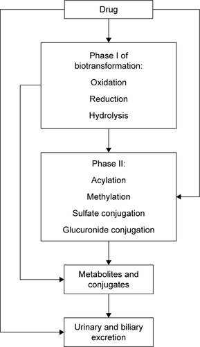 Figure 1 Phases of biotransformation.