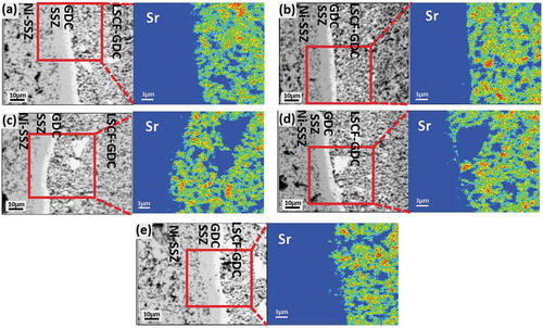 Figure 14. BSE microstructure image of the anode-supported SOFC and WDS elemental maps of Sr of (a) cell before test, after test for 1000 h at 800°C and (b) 200 mAcm−2 (c) 450 mAcm−2 (d) 700 mAcm−2 (e) 1000 mAcm−2, (Reproduced with permission from [Citation92])