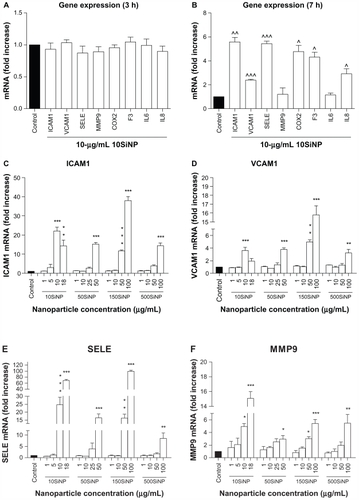 Figure 5 Amorphous SiNP induce upregulation of endothelial gene expression of inflammatory mediators. Exposure of cells for 7 hours (B) but not 3 hours (A) to 10 μg/mL 10SiNP upregulated gene expression as recorded by real-time quantitative polymerase chain reaction. The effect of these nanoparticles on gene expression at 15 hours was compared with that of larger nanoparticles (C–H). Silica nanoparticles upregulated gene expression in a size-, concentration-, and time-dependent manner. The expression of each gene, within each sample, was normalized against 18S rRNA expression and expressed relative to the control sample using the formula 2−(ΔΔCt).Notes: All values are the means ± standard error of the mean of n = 4. By two-tailed Student’s t-test, ^P < 0.05, ^^P < 0.01, and ^^^P < 0.001 compared with the control (A and B). By one-way analysis of variance, Tukey–Kramer multiple comparison test, *P < 0.05, **P < 0.01, and ***P < 0.001 compared with the control (C–H). Filled bars correspond to cells not exposed to nanoparticles (control) and open bars to cells exposed to nanoparticles.Abbreviations: SiNP, silica nanoparticles; ICAM1, intercellular adhesion molecule 1; VCAM1, vascular cell adhesion molecule 1; SELE, selectin E; MMP9, matrix metalloproteinase 9; IL6, interleukin-6; IL8, interleukin-8; COX, cyclo-oxygenase; F3, tissue factor.