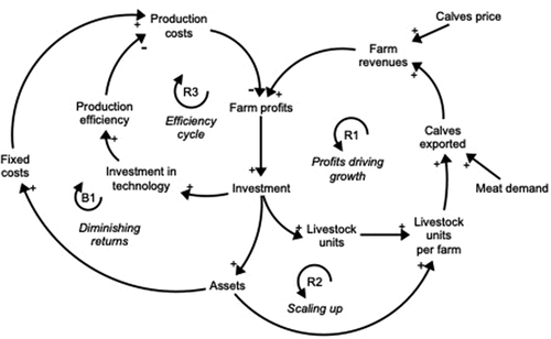 Figure 3. A causal loop summarising reinforcing loops included in the model representing bovine livestock farms in Bourbonnais.