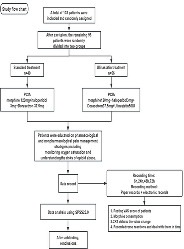 Figure 1 Study flow chart.