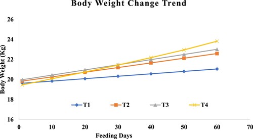 Figure 1. Body weight changing trend of intact yearling Black Head Ogaden lambs supplemented with Commelina species.