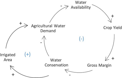 Figure 3. Feedback loops in a complex agricultural water system