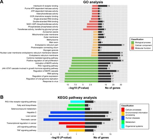 Figure 4 Knockdown of NEAT1 altered global gene expression patterns in HCC cells.