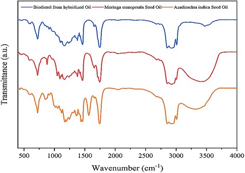 Figure 5. Analysis of FTIR for the synthesized biodiesel, A. indica and M. stenopetala seed oils.