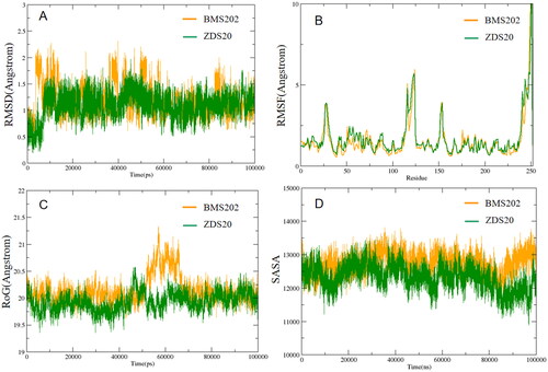 Figure 8. Analysis of classical MD trajectories of inhibitor-PD-L1 dimer complexes. (A) RMSD plot of PD-L1-inhibitor complex. (B) RMSF plot of PD-L1-inhibitor complex. (C) Radius of gyration plot of PD-L1-inhibitor complex. (D) Solvent Accessible Surface Area (SASA) plot of PD-L1-inhibitor complex. Images were generated by Xmgrace software.