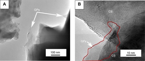 Figure 6 TEM observations of the GPs in the composite coating.Notes: (A) Shows that the GPs existed in the interface or were semi-wrapped on the CS particles, and (B) exhibits that the GPs bridged the CS particles. The thickness of the GPs is about 10 nm (C), while some GPs were also exfoliated during the processes of plasma spraying or mechanical mixture (D). The arrows in (C) and (D) point out the thickness of one piece of graphene plate; and the interface between the graphene plate and calcium silicate is clear in the composite powder, while after spraying, some of the graphene plates were exfoliated.Abbreviations: TEM, transmission electron microscopy; GPs, graphene plates; CS, calcium silicate.
