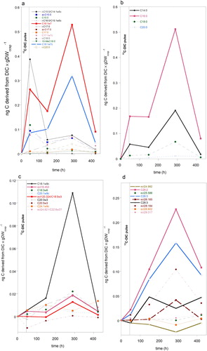 Figure 7. Temporal changes in 13C enrichment of PLFA’s of coral contaminated sponge samples of Hymedesmia (Stylopus) coriacea after a 13C-DIC pulse, which was removed 49 h after start of the pulse chase experiment. Concentration in ng C derived from DIC × g DWccsp−1 comprises 12C and 13C-DIC incorporated. (a) Bacteria-specific PLFA’s and C16:1ω7. (b) Saturated short chain PLFA’s (max 20 C-atoms chain lengths). (c) Mono- and poly-unsaturated PLFA with equivalent chain lengths of 18–25 carbon atoms. (d) Very long chain PLFA’s with equivalent chain lengths of 25 or more carbon atoms.