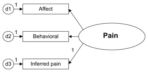 Figure 2 Latent construct pain.