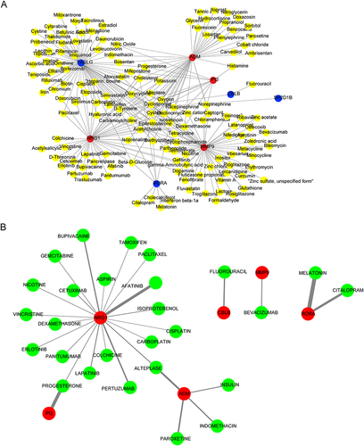 Figure 9 Establishment of the Gene–Drug regulatory networks using Gene Cards database (A) and the Drug–Gene Interaction Database (DGIdb) (B). Blue represents downregulated biomarker; red represents upregulated biomarker, and yellow and green represent drugs or compounds targeting the biomarkers.