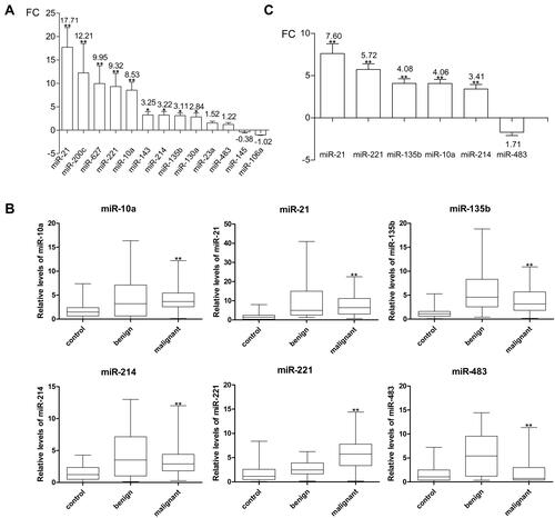 Figure 3 (A) FC changes of thirteen miRNAs in BTCs. The changes of miR-21, miR-200c, miR-627, miR-221, miR-10a, miR-143, miR-214, miR-135b, and miR-130a had diagnostic significance in the preliminary screening test. (B) The relative changes of six miRNAs in the verification test. The expression levels of miR-10a, miR-21, miR-135b, miR-221 and miR-214 in the malignant group were consistent with the change trend in the preliminary screening test. (C) FC changes of six miRNAs in the verification test. The expression of miR-483 was remarkably increased in the benign group and slightly downregulated in the malignant group compared to the control group. **P < 0.01; *P < 0.05.