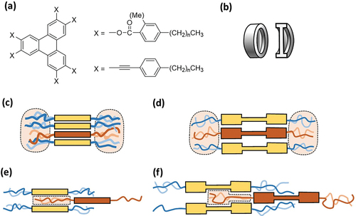 Figure 1. (Colour online) (a) mesogens giving rise to the ND phase (b) schematic representation of a discogen core with a ‘dished’ surface. (cross-section right) (c) schematic of the columnar stacking of flat aryl cores. (d) schematic of the columnar stacking of ‘dished’ aryl cores. (e) schematic of the ND phase of flat aryl cores. (f) schematic of the ND phase of ‘dished’ aryl cores. In (c)-(f) the varying degrees of accessible conformational space (c>f>e) for the (red) side-chains is indicated by the pale red shading (see text).